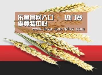 乐鱼官网入口 - 热门赛事竞猜中心