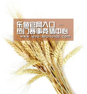 乐鱼官网入口 - 热门赛事竞猜中心