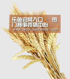 乐鱼官网入口 - 热门赛事竞猜中心