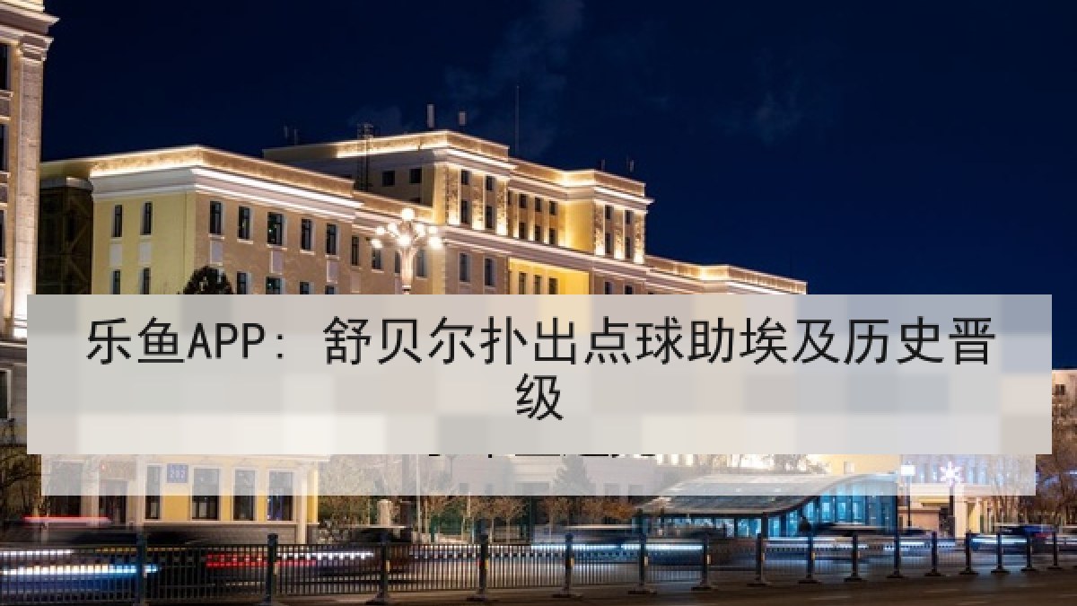 乐鱼APP: 舒贝尔扑出点球助埃及历史晋级