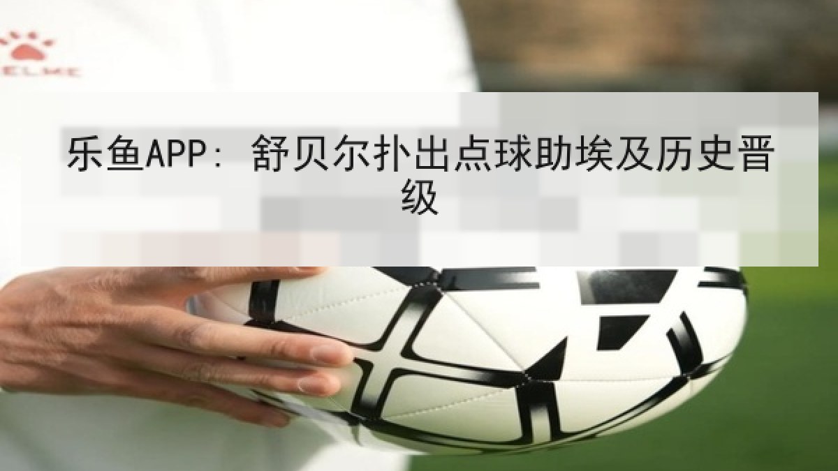 乐鱼APP: 舒贝尔扑出点球助埃及历史晋级