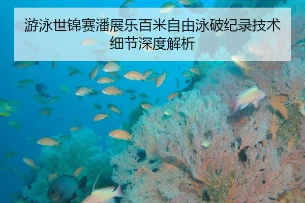 游泳世锦赛潘展乐百米自由泳破纪录技术细节深度解析