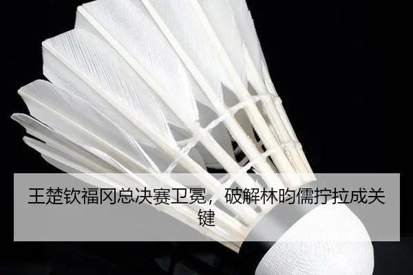 wang-chu-qin-fu-gang-zong-jue-sai-wei-mian-po-jie-lin-yun-ru-ning-la-cheng-guan-jian-2-461.jpg