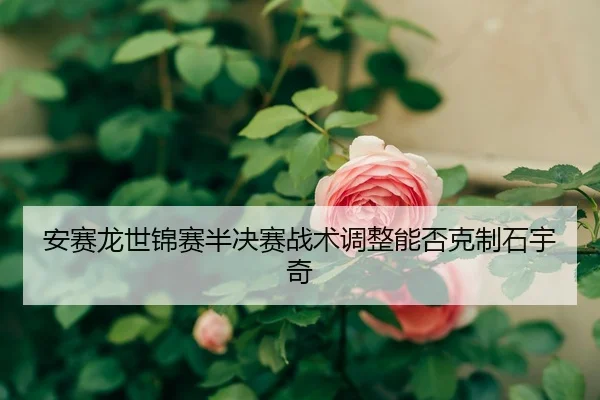 安赛龙世锦赛半决赛战术调整能否克制石宇奇